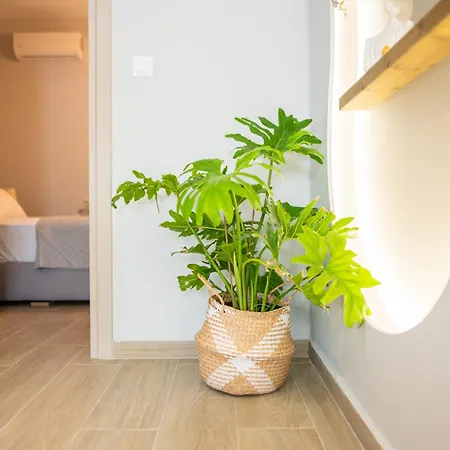 Appartement Casa Irene *