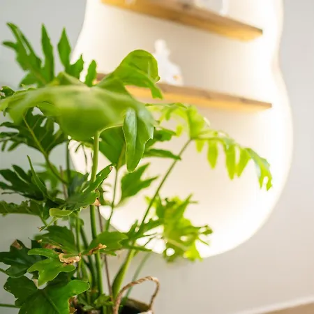 アパート Casa Irene *