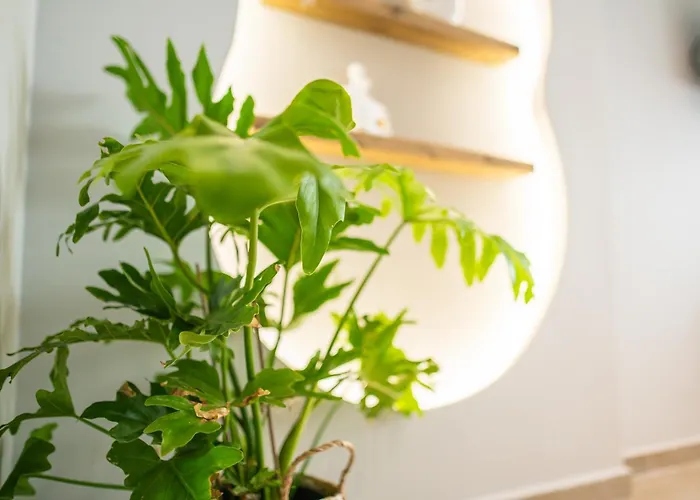 Διαμέρισμα Casa Irene *